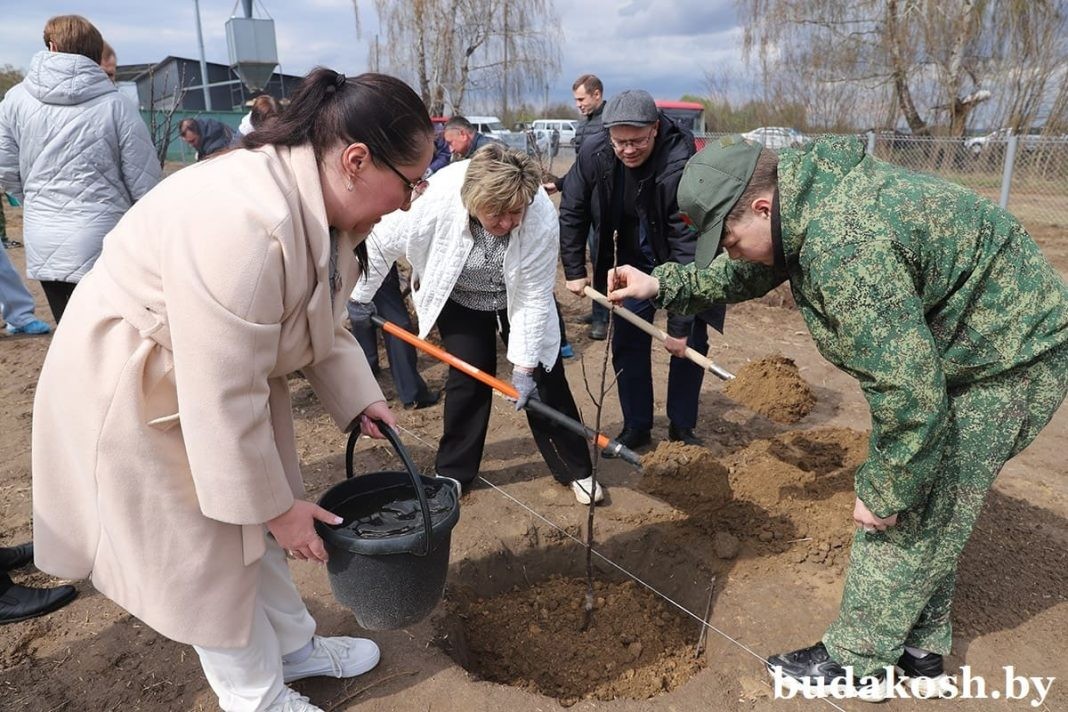 Подробнее о статье Вместе посадим «Сад добра и признательности»